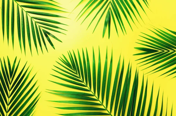 Tropical palm listy na pastelové žluté pozadí. Minimální letní koncept. Creative ploché ležela kopie prostoru. Pohled shora zelené listy na výrazných pastelových papíru — Stock fotografie