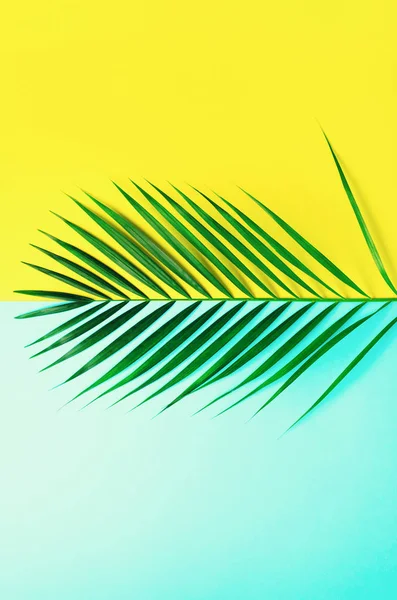 Concept d'été stylisé. Feuilles de palmier tropicales sur fond jaune et bleu. Nature minimale. Pose plate créative avec espace de copie. Vue du dessus — Photo