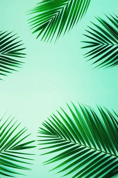 Feuilles de palmier tropicales sur fond bleu pastel. Concept d'été minimal. Pose plate créative avec espace de copie. Feuille verte vue du dessus sur papier pastel perforé — Photo