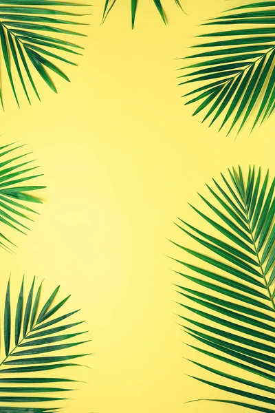 Τροπικούς φοίνικες φύλλα σε παστέλ κίτρινο φόντο. Ελάχιστη καλοκαίρι έννοια. Δημιουργική επίπεδη lay με αντίγραφο χώρο. Το Top view πράσινο φύλλο σε punchy παστέλ χαρτί — Φωτογραφία Αρχείου