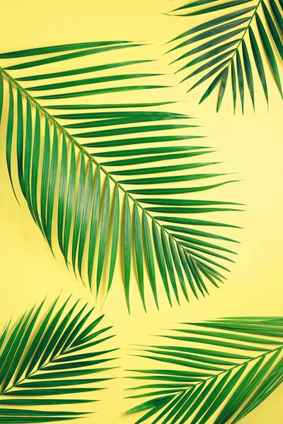 Tropical palm listy na pastelové žluté pozadí. Minimální letní koncept. Creative ploché ležela kopie prostoru. Pohled shora zelené listy na výrazných pastelových papíru — Stock fotografie