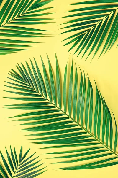Tropical palm leaves on pastel yellow background. Minimal summer concept. Creative flat lay with copy space. Top view green leaf on punchy pastel paper