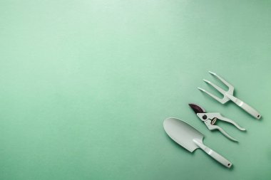 Bahçecilik aletleri ve mutfak eşyaları yeşil zemin üzerine. Üstten görünüm kopya alanı ile. Budayıcı, tırmık, kürek Bahçe manteinance için. Yaz sezonu. Tarım, peyzaj kavramı