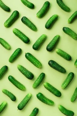 Yaratıcı desen yeşil zemin üzerine taze salatalık. Üstten görünüm. Uzay kopyalayın. Minimal tasarım. Vejetaryen, vegan, organik gıda ve alkali yemek kavramı