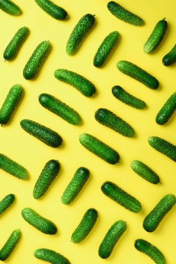 Yaratıcı desen sarı zemin üzerine taze yeşil salatalık. Üstten görünüm. Uzay kopyalayın. Minimal tasarım. Vejetaryen, vegan, organik gıda ve alkali yemek kavramı