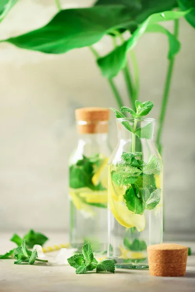 Limonada cítrica - folhas de hortelã, limão e monstera tropical sobre fundo cinza. Bebida Detox. Fruta de verão água infundida. Espaço de cópia . — Fotografia de Stock