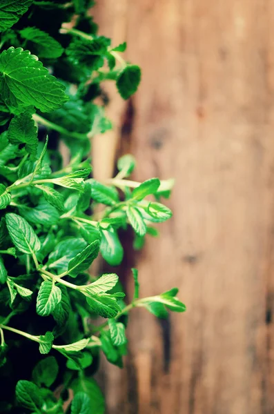 Samling av färska ekologiska kryddväxter melissa, mint, timjan, basilika, persilja på trä bakgrund. Banner. Kopiera utrymme. Abstrakt våren eller sommaren koncept. — Stockfoto