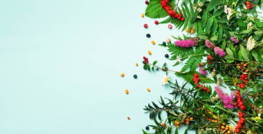 Maddeler bitkisel alternatif tıp, bütünsel ve naturopathy yaklaşım mavi zemin üzerine. Otlar, çiçekler bitki çayı için. Görünümü ana sayfa, yer kopyalayın, yat.