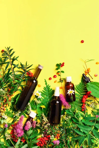 Essential Oils Dark Glass Bottles Healing Flowers Herbs Yellow Background — Stock Photo, Image