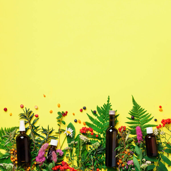 Essential oils in dark glass bottles and healing flowers, herbs on yellow background. Holistic medicine approach. Healthy food eating, dietary supplements. Square crop.