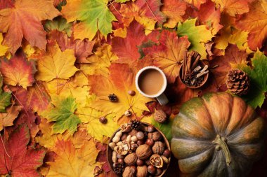 Balkabağı, ahşap fındık, kahve fincanı, koni, bej rengi ekose ve renkli yaprakların üzerine tarçın. Sonbahar yatağı. Hygge ve rahat bir hayat. Okuma zamanı. Üst Manzara. Pankart.