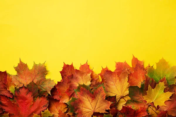 Barevné Podzimní Listí Žlutém Pozadí Kopie Prostoru Příjemný Podzim Náladu — Stock fotografie