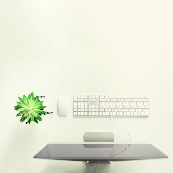 Keyboard Putih Mouse Tanaman Lezat Meja Putih Pemandangan Bagus Tanaman — Stok Foto
