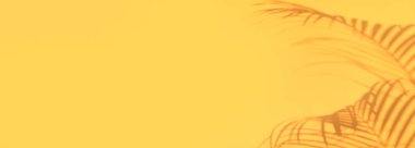 Yaz yolculuğu konsepti. Egzotik palmiye yapraklarının gölgesi pastel sarı duvar zemininde yatıyor. Kopyalama alanı olan pankart.