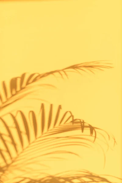 Sommerreisekonzept Schatten Exotischer Palmblätter Liegt Auf Pastellgelbem Wandhintergrund Banner Mit — Stockfoto