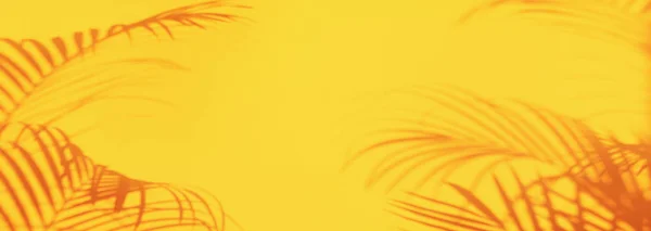 Concepto de viaje de verano. Sombra de hojas de palma exóticas se extiende sobre fondo de pared de color amarillo pastel. Banner con espacio de copia — Foto de Stock