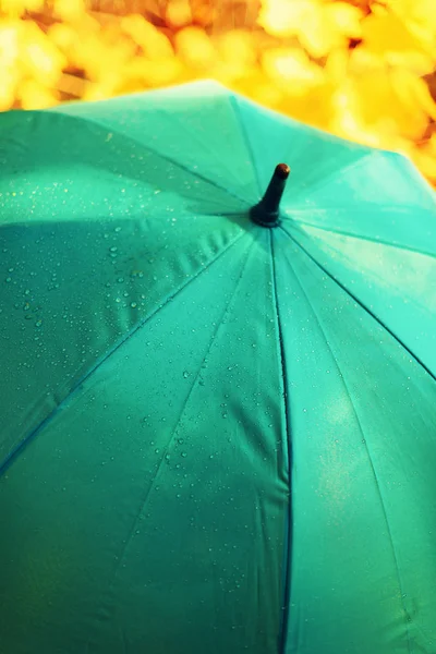 Modrý Deštník Kapkami Deště Koncept Podzimního Počasí — Stock fotografie