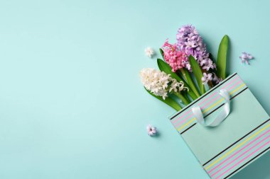 Alışveriş çantası mavi punchy pastel arka plan üzerinde taze sümbül çiçeklenir. Kopya alanı ile banner. Bahar, yaz, kadın gün kavramı. Yaratıcı düzeni. Üstten Görünüm, düz yatıyordu