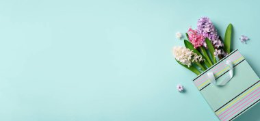 Alışveriş çantası mavi punchy pastel arka plan üzerinde taze sümbül çiçeklenir. Kopya alanı ile banner. Bahar, yaz, kadın gün kavramı. Yaratıcı düzeni. Üstten Görünüm, düz yatıyordu