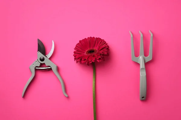 Gardening tools, flower on pink punchy pastel background. Spring, summer or garden concept with copy space