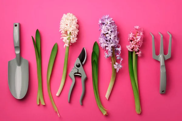 Garden pruner, rake, with flowers on pink punchy pastel background. Banner with copy space. Spring, summer or garden concept. Creative layout. Top view, flat lay.