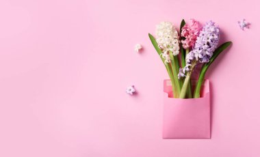 Punchy pastel arka plan kopya alanı ile üzerinde pembe posta zarf içinde sümbül çiçek bahar. Üstten Görünüm, düz yatıyordu. Afiş. Bahar, yaz ve Bahçe kavramı. Yaratıcı düzeni.