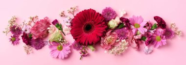 Pembe çiçeklerin bahar kompozisyonu pastel arka planda fotokopi alanı ile birlikte. Yaratıcı düzen. Düz yatıyordu. Üst Manzara. Yaz asgari kavramı.