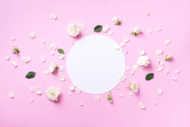 Beyaz gül çiçekleri ve pembe arka planda daire şeklinde taç yaprakları. Düz yerde, üst tarafta. Yaratıcı düzen. Fotokopi alanı olan bahar ya da yaz afişi. Çiçek bileşimi.