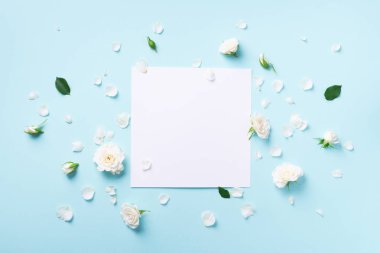 Pastel mavi arka planda beyaz çiçek çerçevesi. Sevgililer Günü, Kadın Günü konsepti. Fotokopi alanı olan bahar ya da yaz afişi