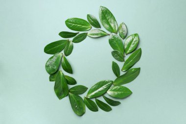 Yeşil arka planda bahar yaprakları deseni var. Yaratıcı düzen. Üst Manzara. Düz yatıyordu.