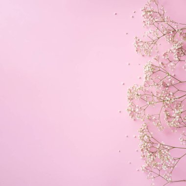 Pastel pembe arka planda küçük beyaz çingene çiçekleri. Kadınlar Günü, Anneler Günü, Sevgililer Günü, düğün konsepti. Düz yatıyordu. Üst Manzara. Boşluğu kopyala