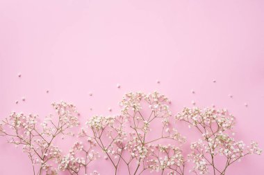 Pastel pembe arka planda küçük beyaz çingene çiçekleri. Kadınlar Günü, Anneler Günü, Sevgililer Günü, düğün konsepti. Düz yatıyordu. Üst Manzara. Boşluğu kopyala
