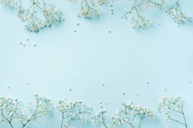 Pastel mavi arka planda küçük beyaz çigila çiçekleri. Kadınlar Günü, Anneler Günü, Sevgililer Günü, düğün konsepti. Düz yatıyordu. Üst Manzara. Boşluğu kopyala