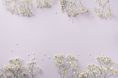 Pastel gri arka planda küçük beyaz çigila çiçekleri. Kadınlar Günü, Anneler Günü, Sevgililer Günü, düğün konsepti. Düz yatıyordu. Üst Manzara. Boşluğu kopyala