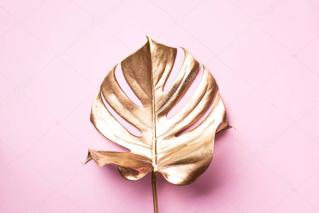 Golden tropical monstera leaf on pink background with copy space. Top view. Flat lay. Creative layout. Exotic summer concept in minimal style