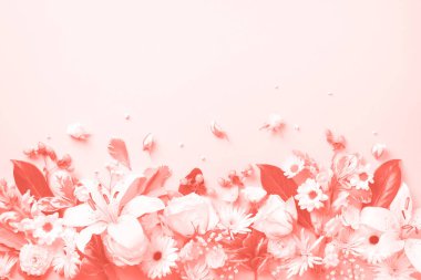 Moda mercan rengi arka planda, fotokopi alanı olan pembe çiçeklerin bahar bileşimi. Yaratıcı düzen. Düz yatıyordu. Üst Manzara. Yaz asgari kavramı.