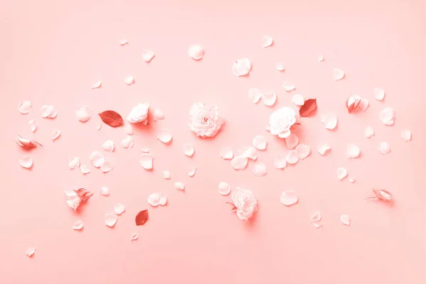 Bloemen samenstelling. Witte rozen en bloemblaadjes op trendy koraalkleurige achtergrond. Vlakke lay, bovenaanzicht. Creatieve indeling. Lente of zomer banner met kopieerruimte — Stockfoto