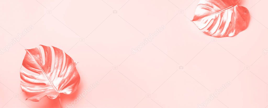 Golden tropical monstera leaf on pink background with copy space. Top view. Flat lay. Creative layout. Exotic summer concept in minimal style and trendy coral color