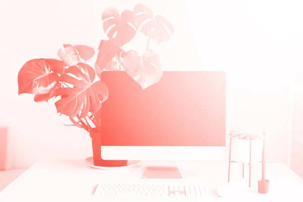 Teclado, ratón, pantalla de ordenador con pantalla en blanco y negro. Vista frontal. Espacio de trabajo de diseño moderno sobre fondo de color coral de moda. Oficina de casa minimalista, flor monstera . — Foto de Stock