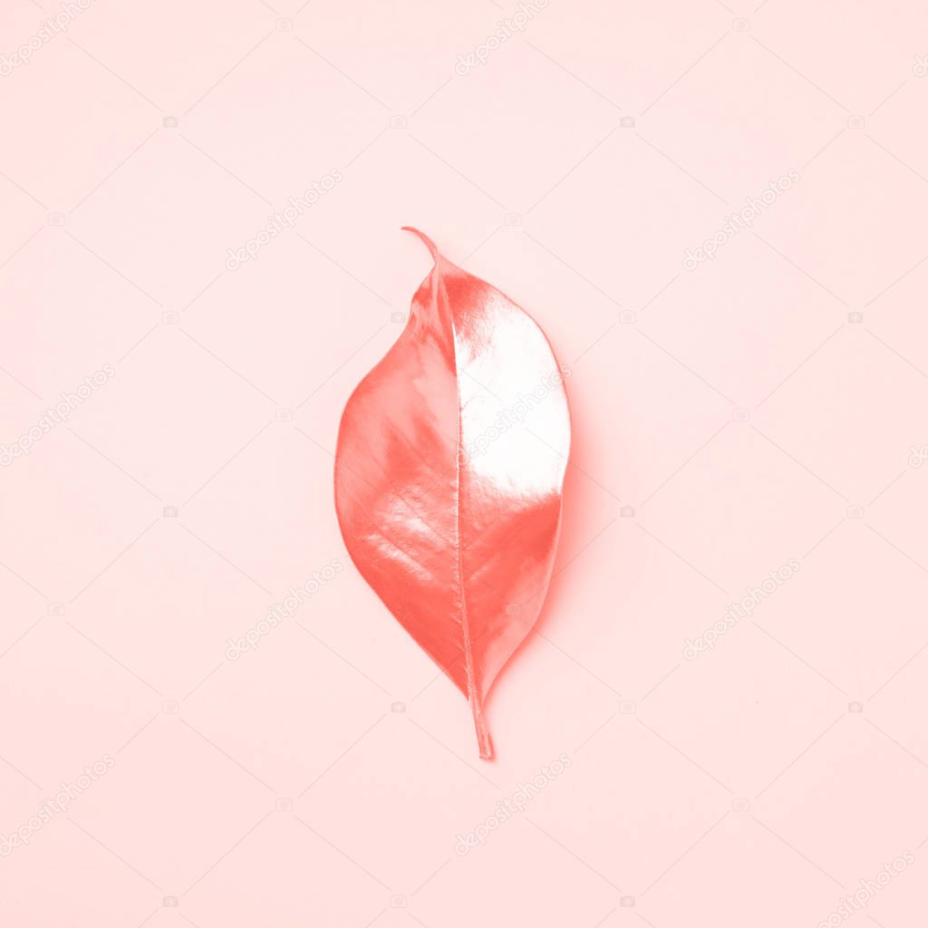 Golden leaf on trendy coral color background. Top view. Copy space. Summer and autumn concept. Creative design elements for invitation, wedding cards, valentines day, greeting cards