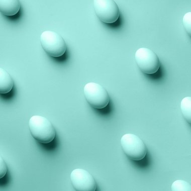 Pastel mavi arka planda beyaz tavuk yumurtası konsepti. Üst Manzara. Asgari tarzda yaratıcı bir model. 2019 yılının modaya uygun mavi rengi. Düz yatıyordu.