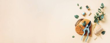 Okaliptüs buketi, bebek mavisi okaliptüs dallarıyla pastel arka plan üzerinde oluşturur. Çiçekçi iş konsepti. Üst Manzara. Düz yatıyordu.