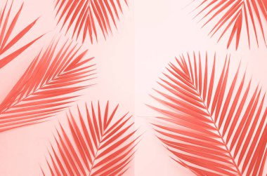 Son moda mercan rengi arka planda kağıt kart notuyla tropik palmiye yaprakları. Minimum yaz konsepti. Yaratıcı düzen. Üst manzara, düz uzanma.