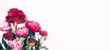 Pastel arka planda sert gölgeli pembe şakayıklar ve yapraklar, kopyalama alanı. Moda, yaz konsepti. Üst görünüm.