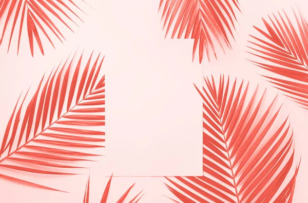 Tropische palmbladeren op hippe koraalkleurige achtergrond met papieren kaartje. Minimaal zomerconcept. Creatieve indeling. Bovenaanzicht, vlak lay. — Stockfoto