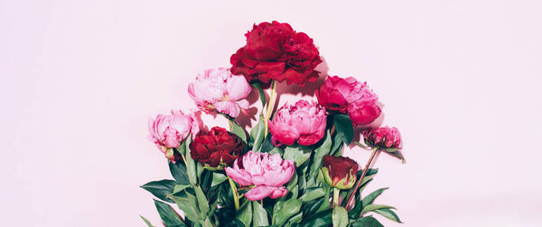 Beautiful pink peony flowers with hard shadow on pastel background, copy space. Trendy pattern, summer concept. Top view.