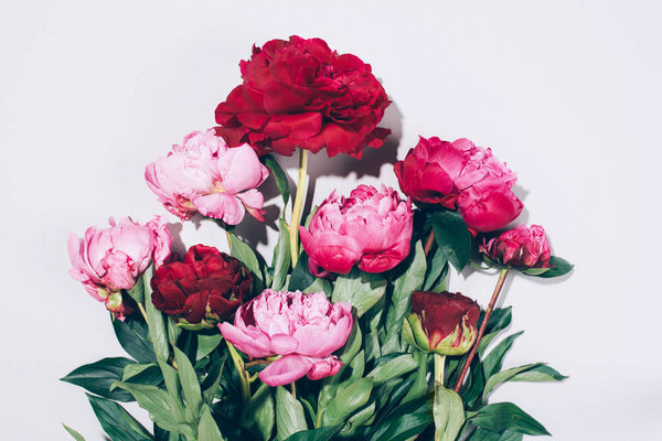 Beautiful pink peony flowers with hard shadow on pastel background, copy space. Trendy pattern, summer concept. Top view.