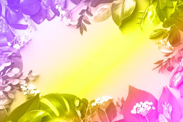 Δημιουργική διάταξη από τροπικά φύλλα σε μοντέρνα χρώματα νέον. Φόντο βαθμίδωσης. Επίπεδη. Στο πάνω μέρος. Κουράγιο. — Φωτογραφία Αρχείου