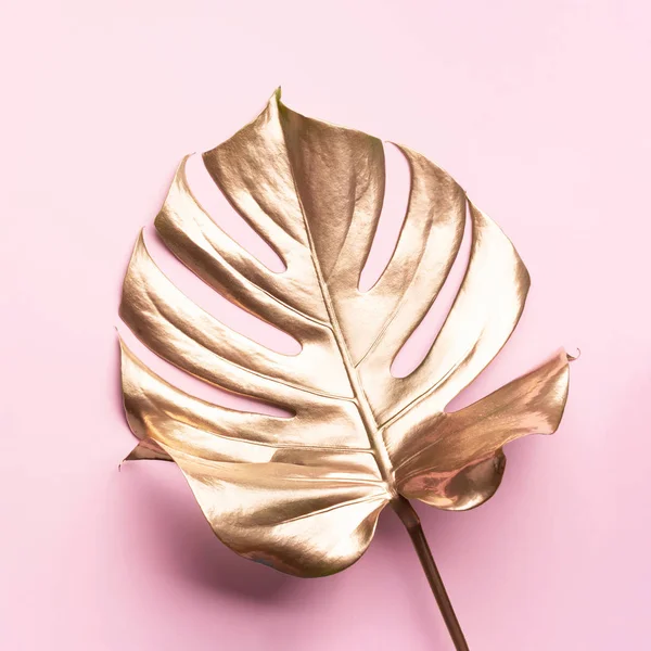 Tendência de verão exótico em estilo mínimo. Folha de monstera de palmeira tropical dourada no fundo de cor rosa pastel. Brilhante e brilho design, conceito de moda. — Fotografia de Stock