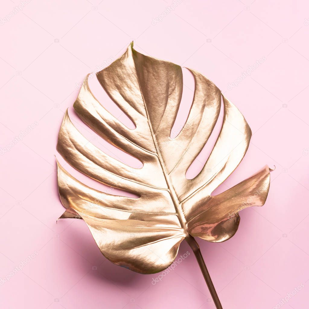 Exotic summer trend in minimal style. Golden tropical palm monstera leaf on pastel pink color background. Shiny and sparkle design, fashion concept.